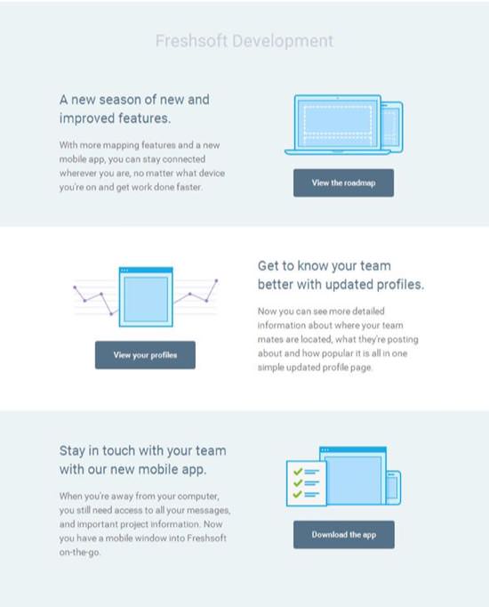 Freshsoft Development Newsletters Email Template